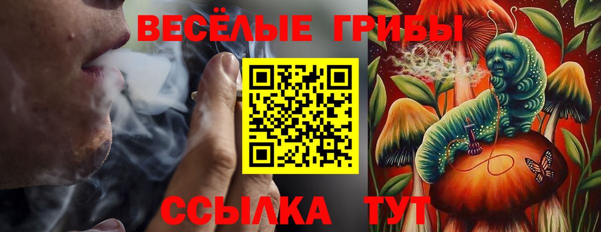 Псилоцибиновые грибы Magic Shrooms Светлоград