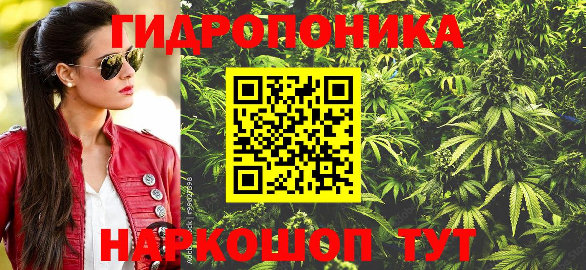 Бошки марихуана VHQ  Конопля AK-47  Бошки марихуана индика  Светлоград  Вход с VPN  Канабис ГИДРОПОН 